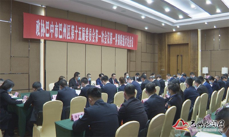 蒋军辉参加区政协十五届一次会议第一界别联组讨论