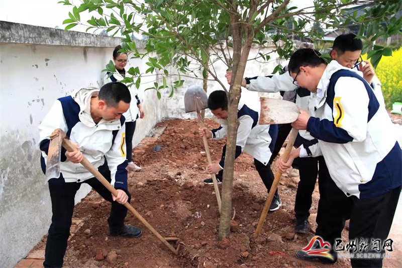 光辉小学开展“为校园增绿  为党旗添彩”植树节活动