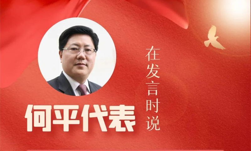 何平在党的二十大四川省代表团分组会议上发言