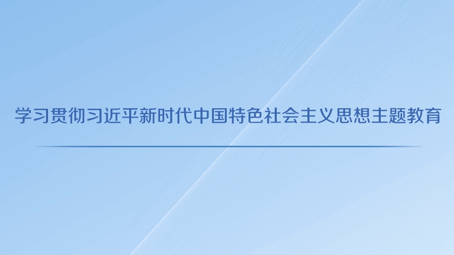 学习贯彻习近平新时代中国特色社会主义思想主题教育（73）