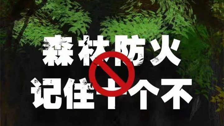 【公益广告】森林防火，记住十个“不”