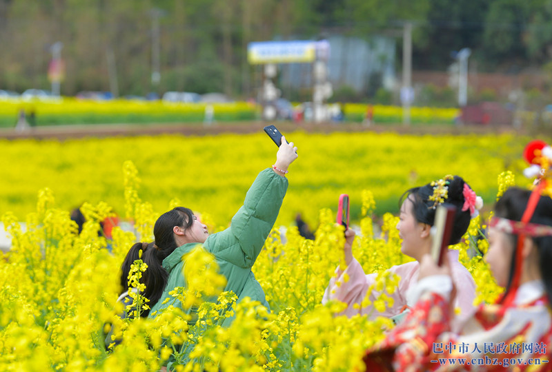 以花为媒 激活文旅新动能