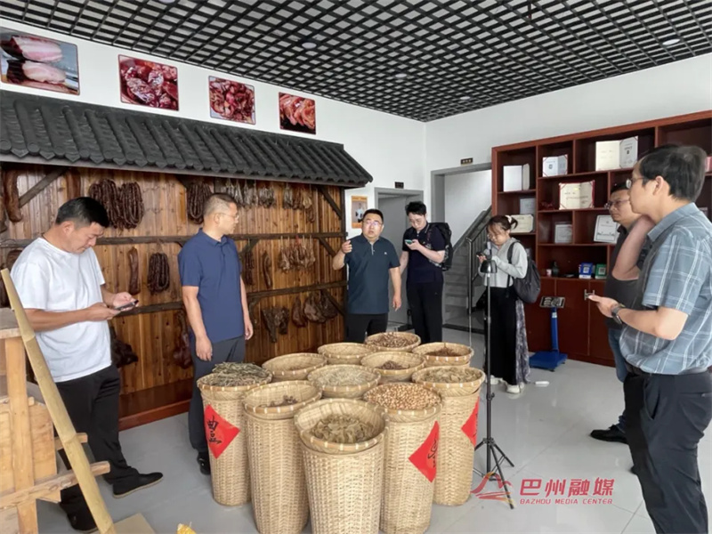 浙川协作再深化！浙江省城规院实地调研为巴州乡村振兴“把脉开方”