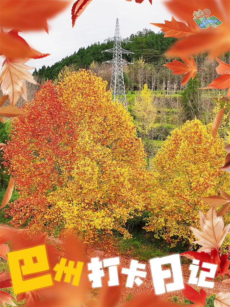 大自然才是终极PS大师吧？这波焦糖滤镜我给满分！”