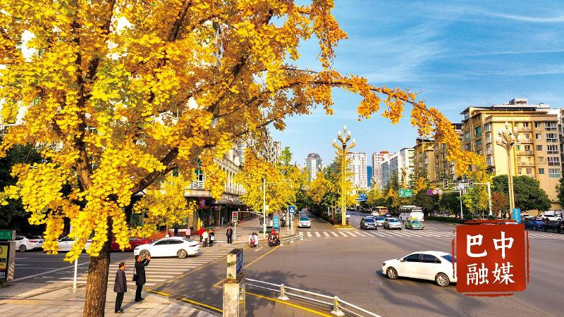 冬日“暖景””