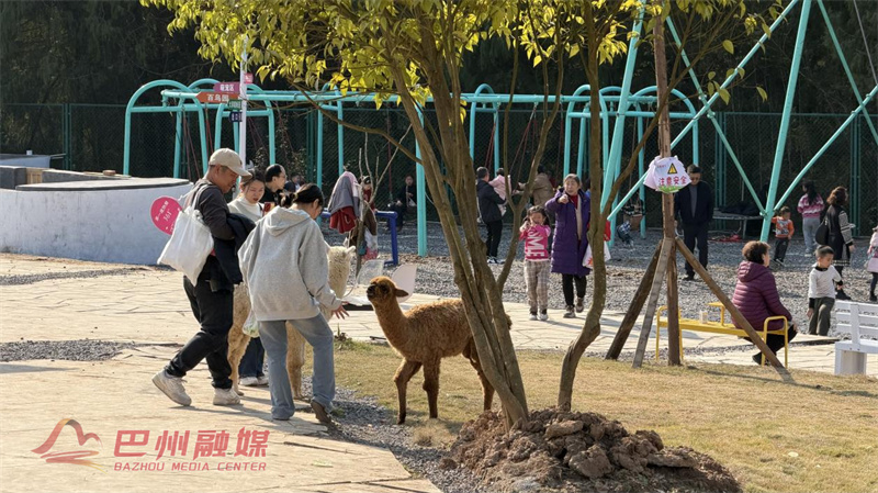 清江七彩世界：以“真实”破局 闯出农文旅流量新赛道