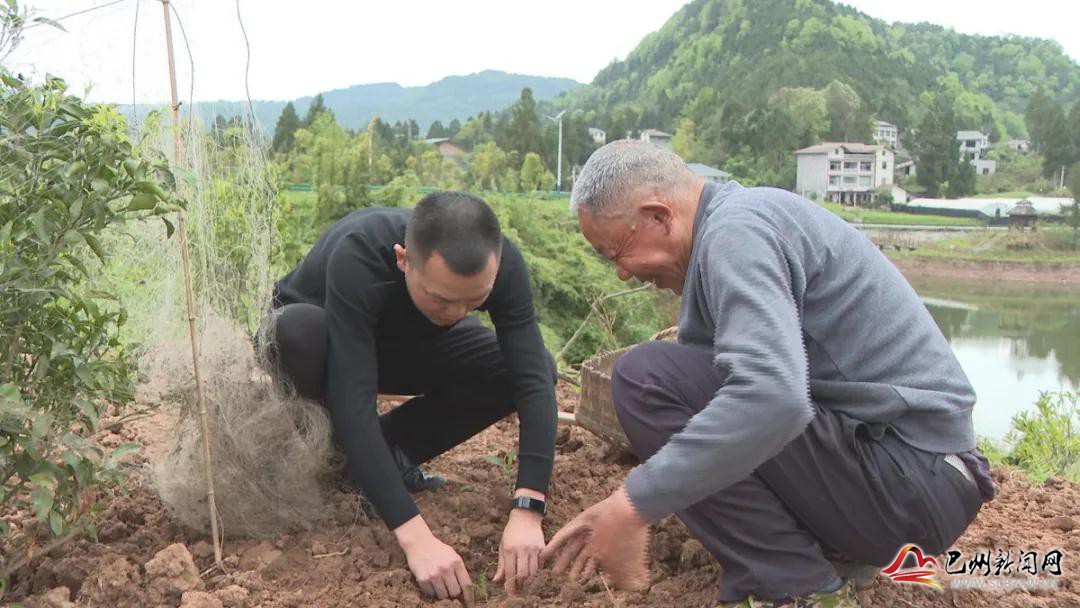 代表委员风采（一）丨把驻村当回家 把群众当亲人