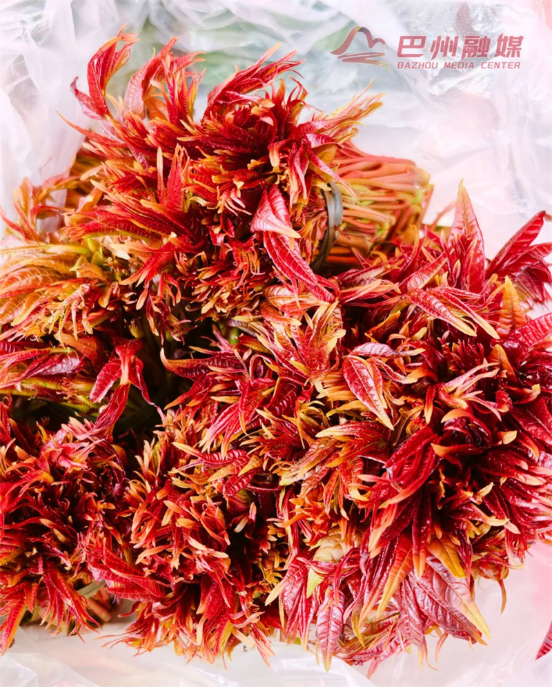 巴中人也太会“吃春天”了吧