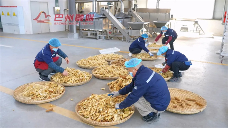 药食同源“春”意浓！鑫洋药业跑出研发生产“加速度”