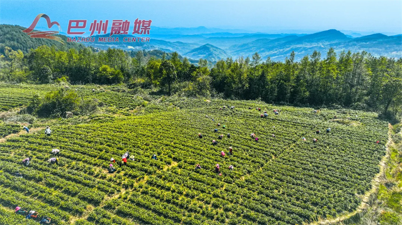 我好招急！你在哪里？