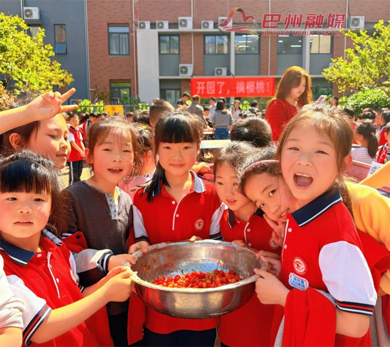 实名羡慕！棠外孩子们在学校实现樱桃自由”