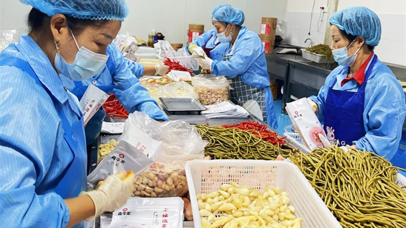 回巴中，腌一坛有底气的泡菜