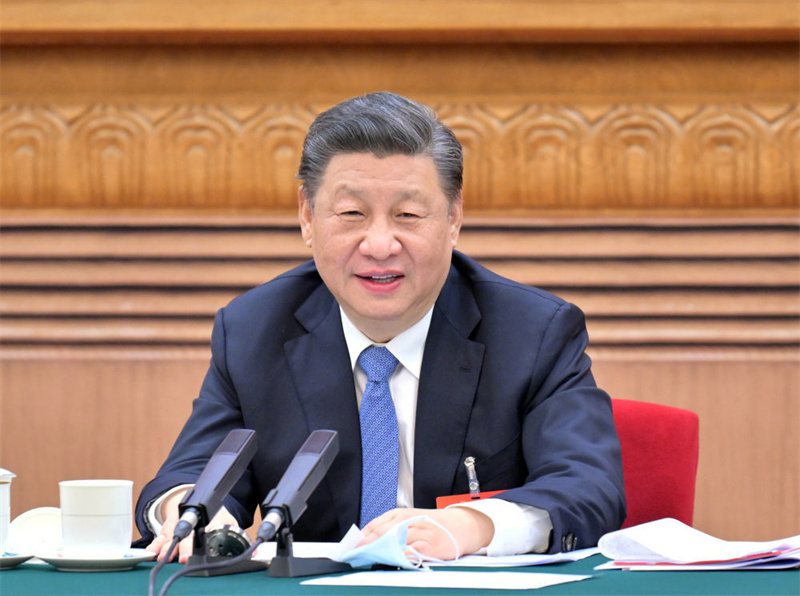 习近平总书记同代表委员共商民族团结进步事业的故事